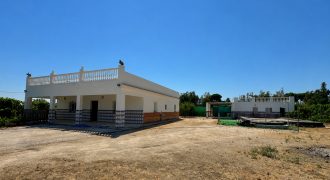 GRAN CAMPO EN EL ALCORNOCAL