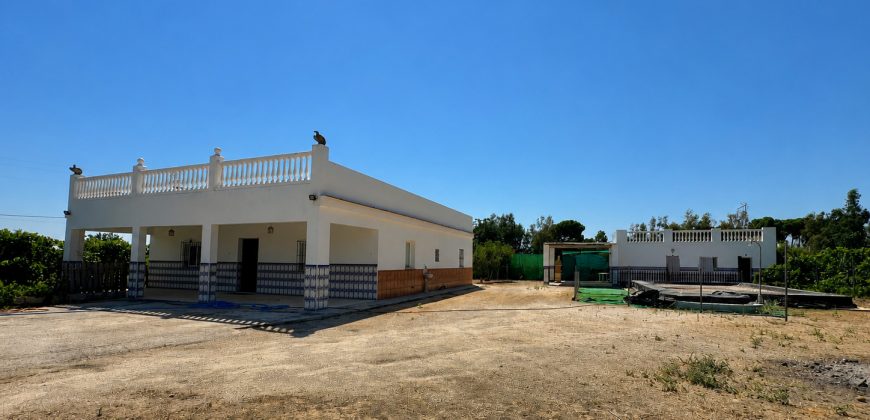 GRAN CAMPO EN EL ALCORNOCAL