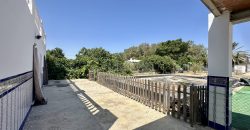 GRAN CAMPO EN EL ALCORNOCAL