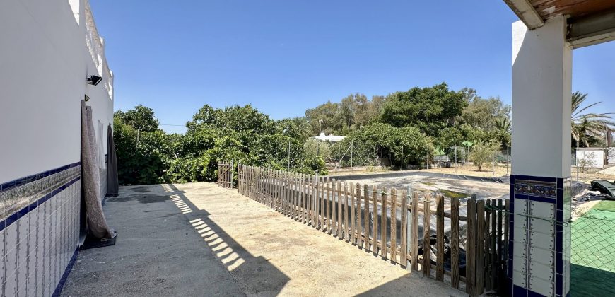 GRAN CAMPO EN EL ALCORNOCAL
