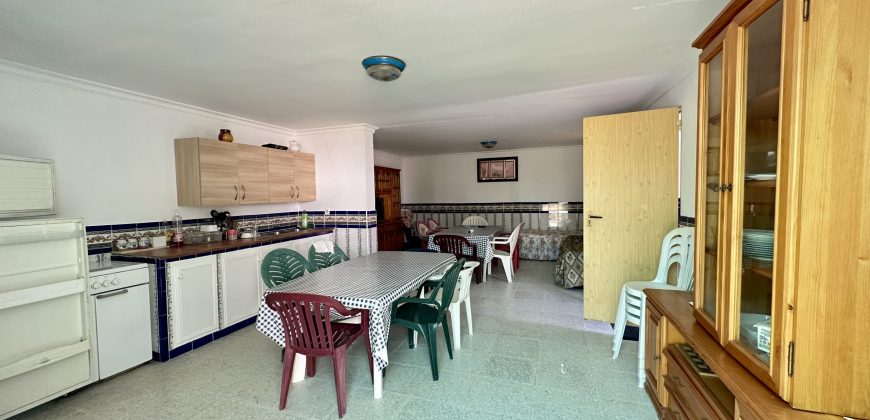 GRAN CAMPO EN EL ALCORNOCAL