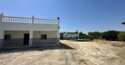 GRAN CAMPO EN EL ALCORNOCAL