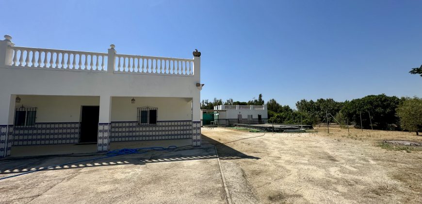 GRAN CAMPO EN EL ALCORNOCAL
