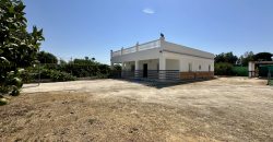 GRAN CAMPO EN EL ALCORNOCAL
