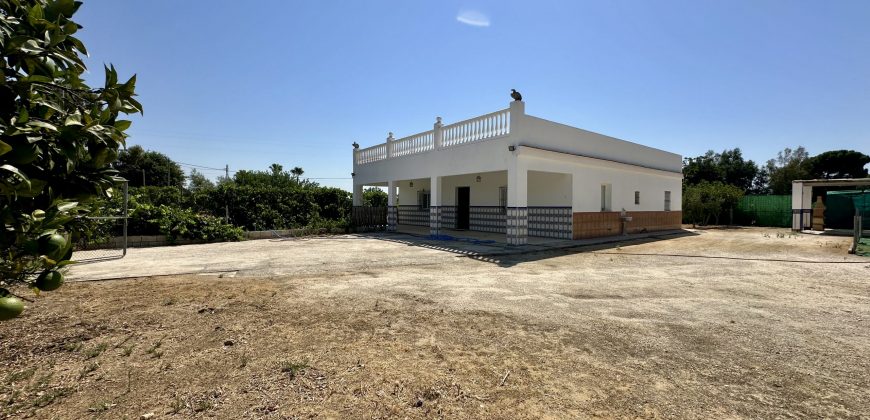 GRAN CAMPO EN EL ALCORNOCAL