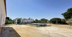 GRAN CAMPO EN EL ALCORNOCAL