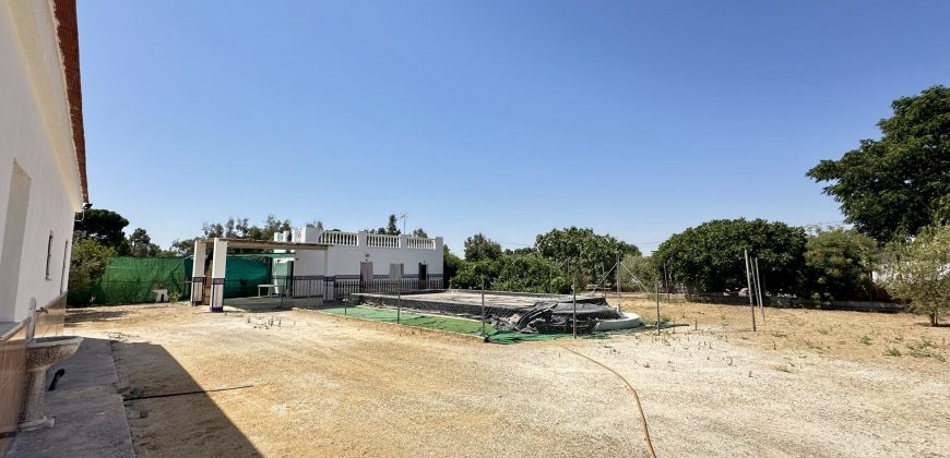 GRAN CAMPO EN EL ALCORNOCAL