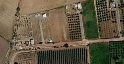 Finca rústica en venta en El Cuervo – Zona El Buhadillo
