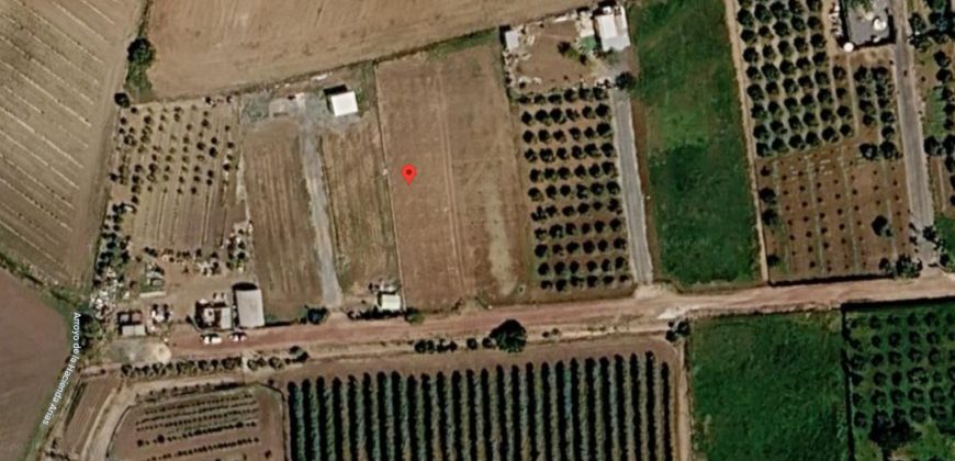 Finca rústica en venta en El Cuervo – Zona El Buhadillo