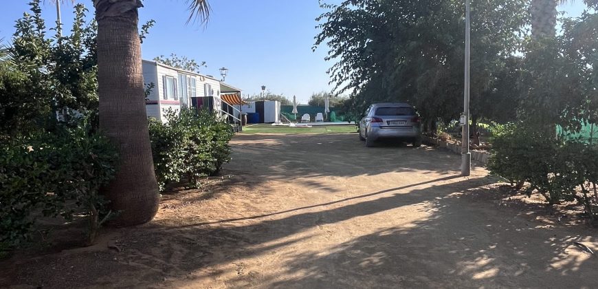 FINCA RÚSTICA EN LAS LOBERAS (CARMONA)