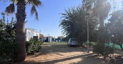 FINCA RÚSTICA EN LAS LOBERAS (CARMONA)