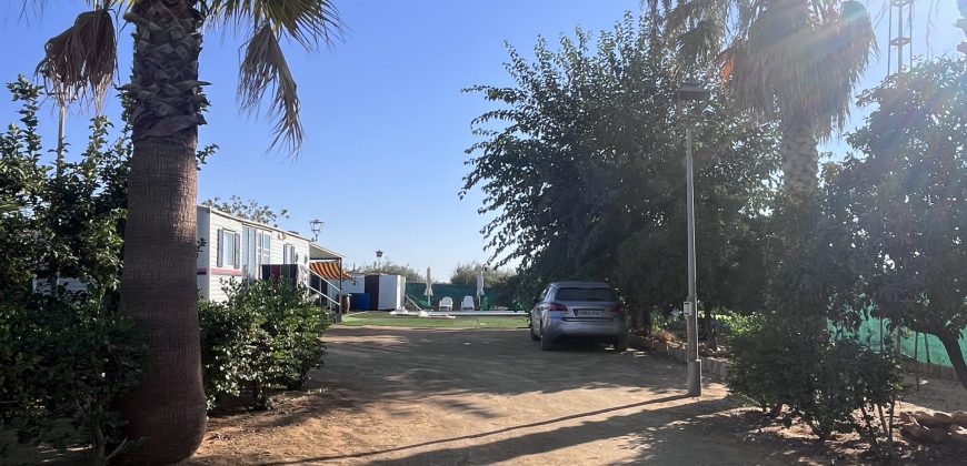 FINCA RÚSTICA EN LAS LOBERAS (CARMONA)