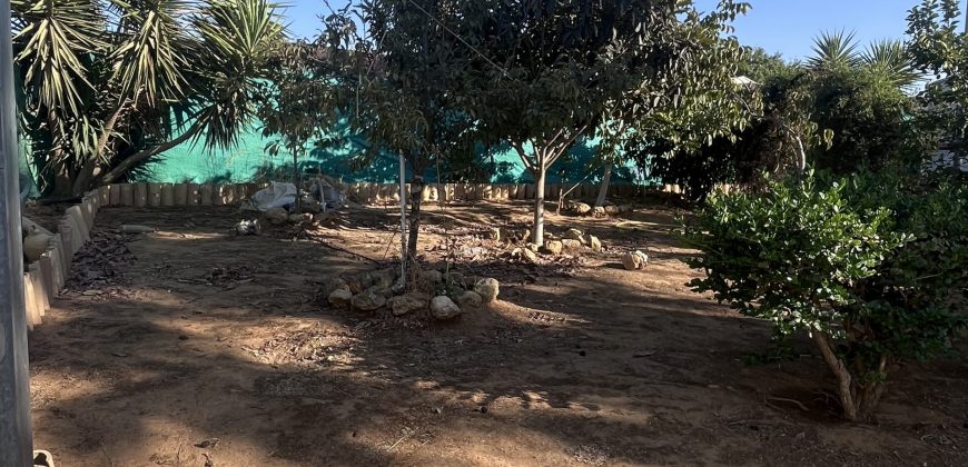 FINCA RÚSTICA EN LAS LOBERAS (CARMONA)