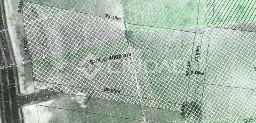 TERRENO RÚSTICO CON ESCRITURAS INDEPENDIENTES EN CUESTA BLANCA