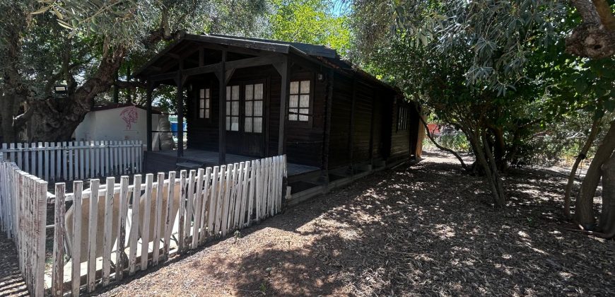 🏡¡PARCELA EN VENTA CON 3 CASAS DE MADERA !🏡
