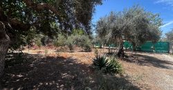🏡¡PARCELA EN VENTA CON 3 CASAS DE MADERA !🏡