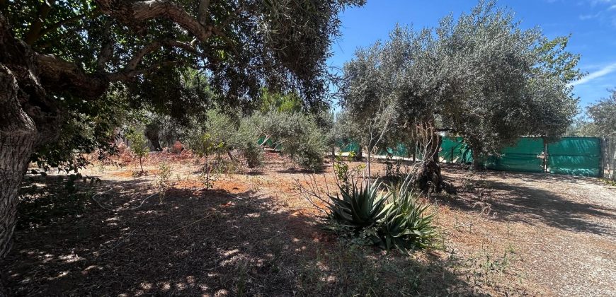 🏡¡PARCELA EN VENTA CON 3 CASAS DE MADERA !🏡