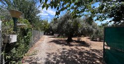 🏡¡PARCELA EN VENTA CON 3 CASAS DE MADERA !🏡