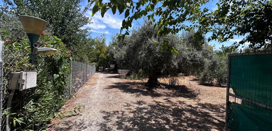 🏡¡PARCELA EN VENTA CON 3 CASAS DE MADERA !🏡