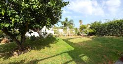 Chalet independiente con piscina en Martín Miguel