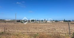 TERRENO RÚSTICO CON ESCRITURAS INDEPENDIENTES EN CUESTA BLANCA