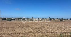 TERRENO RÚSTICO CON ESCRITURAS INDEPENDIENTES EN CUESTA BLANCA