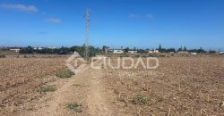 TERRENO RÚSTICO CON ESCRITURAS INDEPENDIENTES EN CUESTA BLANCA