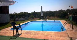 Finca rústica – Huévar del Aljarafe