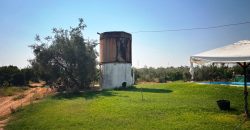 Finca rústica – Huévar del Aljarafe