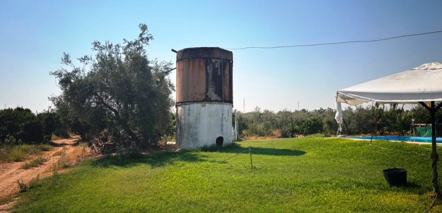 Finca rústica – Huévar del Aljarafe