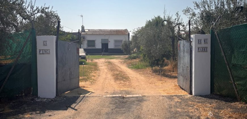 Finca rústica – Huévar del Aljarafe