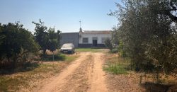 Finca rústica – Huévar del Aljarafe