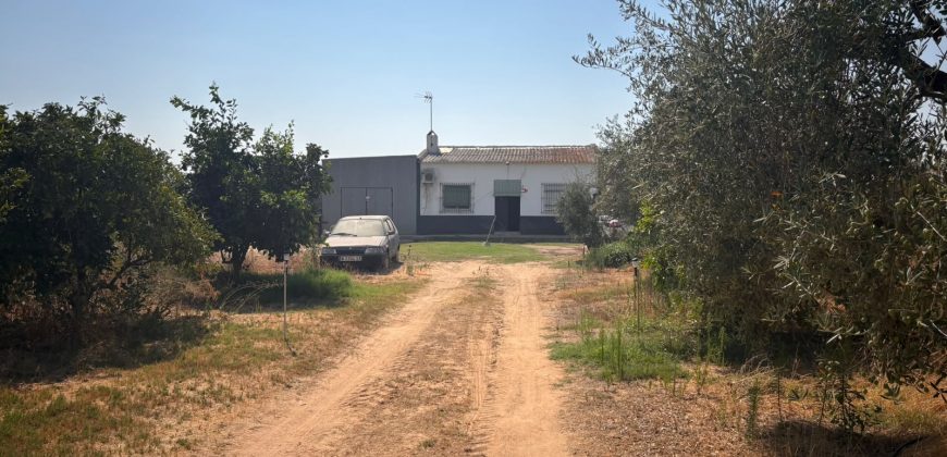 Finca rústica – Huévar del Aljarafe