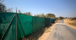Finca rústica – Huévar del Aljarafe