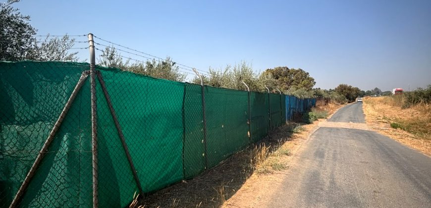Finca rústica – Huévar del Aljarafe