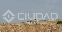 Finca rústica en venta – Paraje Carrascosa, Lebrija