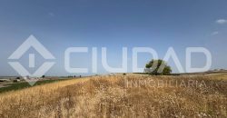 Finca rústica en venta – Paraje Carrascosa, Lebrija