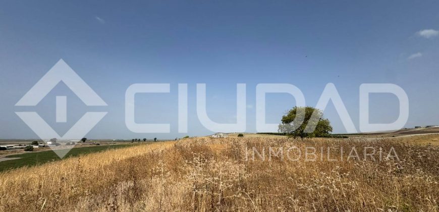 Finca rústica en venta – Paraje Carrascosa, Lebrija