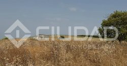 Finca rústica en venta – Paraje Carrascosa, Lebrija