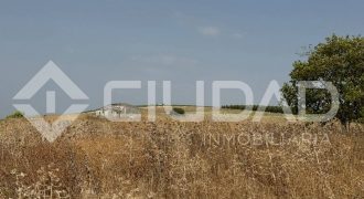 Finca rústica en venta – Paraje Carrascosa, Lebrija