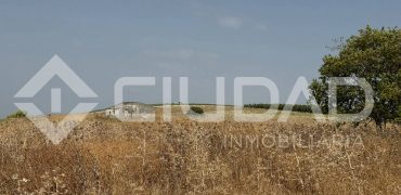 Finca rústica en venta – Paraje Carrascosa, Lebrija