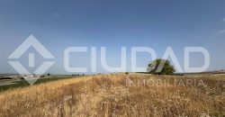 Finca rústica en venta – Paraje Carrascosa, Lebrija