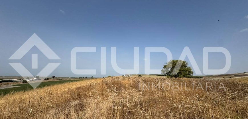 Finca rústica en venta – Paraje Carrascosa, Lebrija