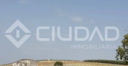 Finca rústica en venta – Paraje Carrascosa, Lebrija