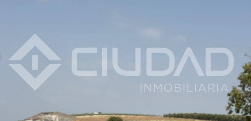 Finca rústica en venta – Paraje Carrascosa, Lebrija