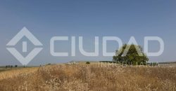 Finca rústica en venta – Paraje Carrascosa, Lebrija