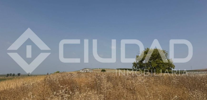 Finca rústica en venta – Paraje Carrascosa, Lebrija