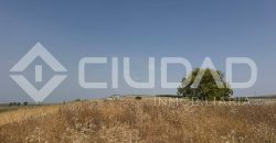 Finca rústica en venta – Paraje Carrascosa, Lebrija