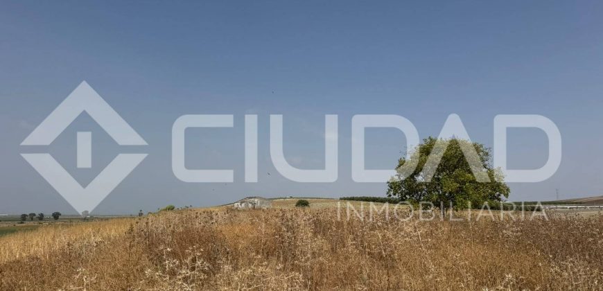 Finca rústica en venta – Paraje Carrascosa, Lebrija