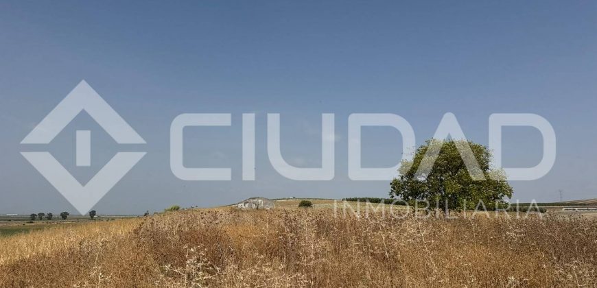 Finca rústica en venta – Paraje Carrascosa, Lebrija